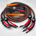 Wireworld Cable Technology  Eclipse 8 (Bananas BIWIRE)  8ft/2.5m  Speaker Cables