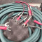Cardas Audio  Parsec Speaker Cable (Pair)(SPADES) (BIWIRE)  14.7ft/4.5m  Speaker Cables