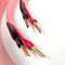 Nordost  Heimdall 2 Speaker Cable (Pair) (Bananas - Bananas)  10ft/3m  Speaker Cables