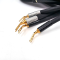 Shunyata Research  Sigma v2 (Spades, Pr)  6ft/2m  Speaker Cables