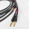 Audience  AU24 SX (Bananas, Pr)  8ft/2.5m  Speaker Cables