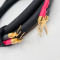 REBUILD Shunyata  Delta (v1) Spades (SINGLE)  10Ft/3m  Speaker Cables